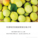 雋品岩燒海苔-戀之梅口味(12入/袋)